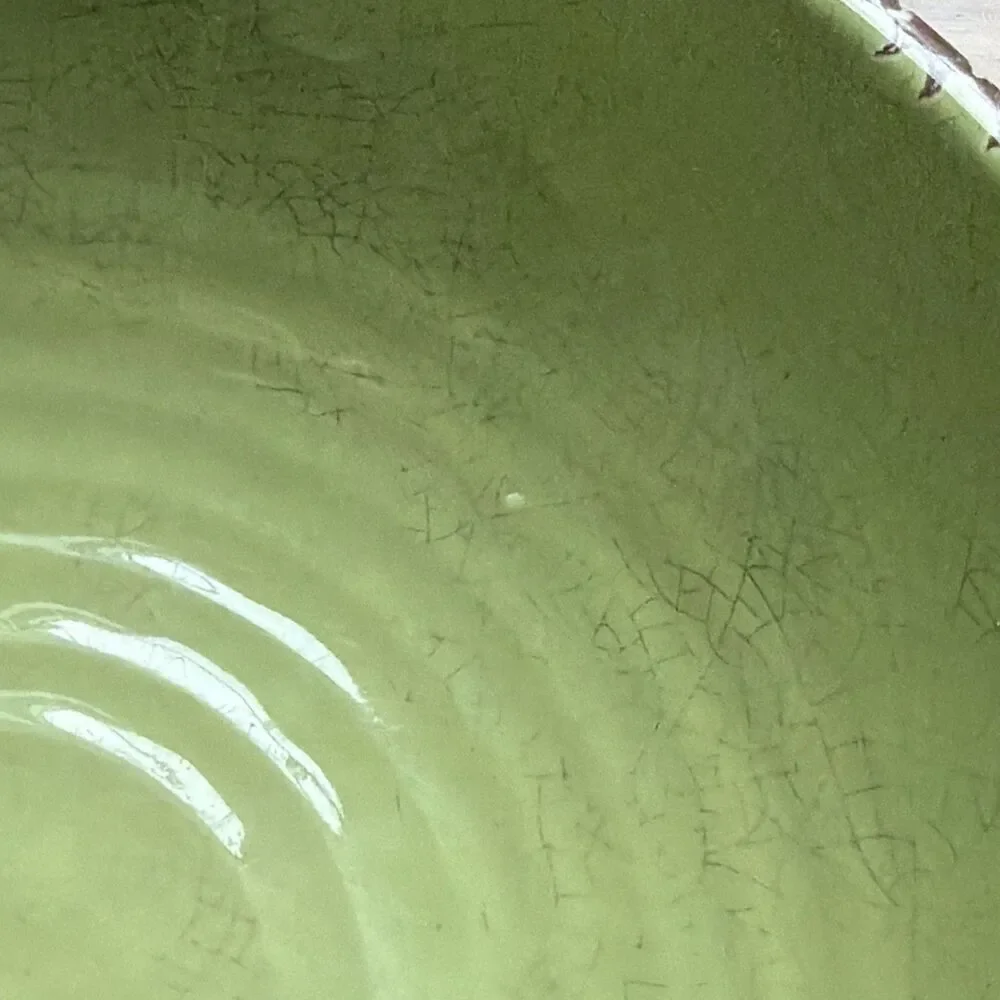 Set Of 4 Williams Sonoma 8” Green Crackle Rustic Melamine Bowls